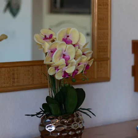 Fivento, Plage, Clim, Terrasse, Parking Privé Appartamento Agde